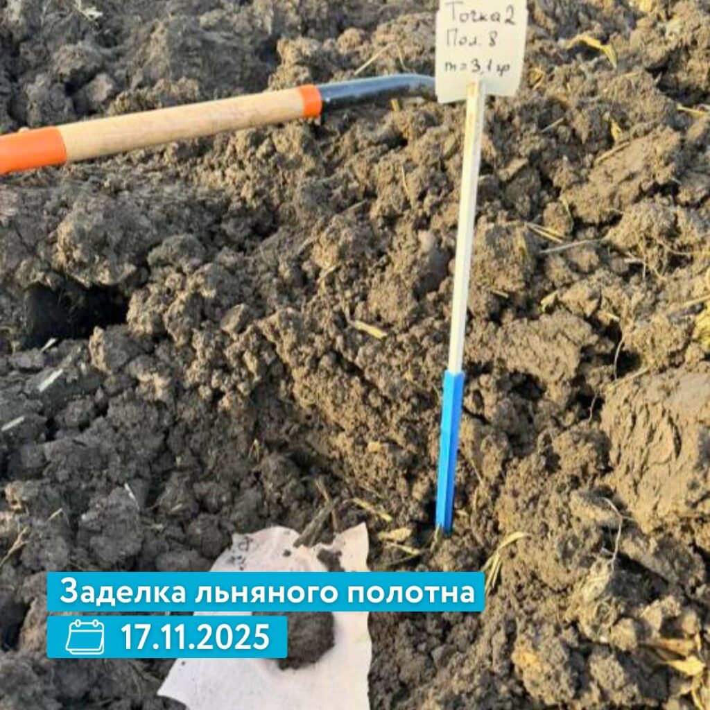 Биоэлементс Стерня на пожнивных остатках кукурузы: что показал опыт в Краснодарском крае