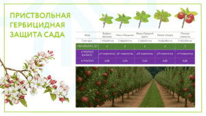 Приствольная гербицидная защита сада — контроль сорняков на весь сезон