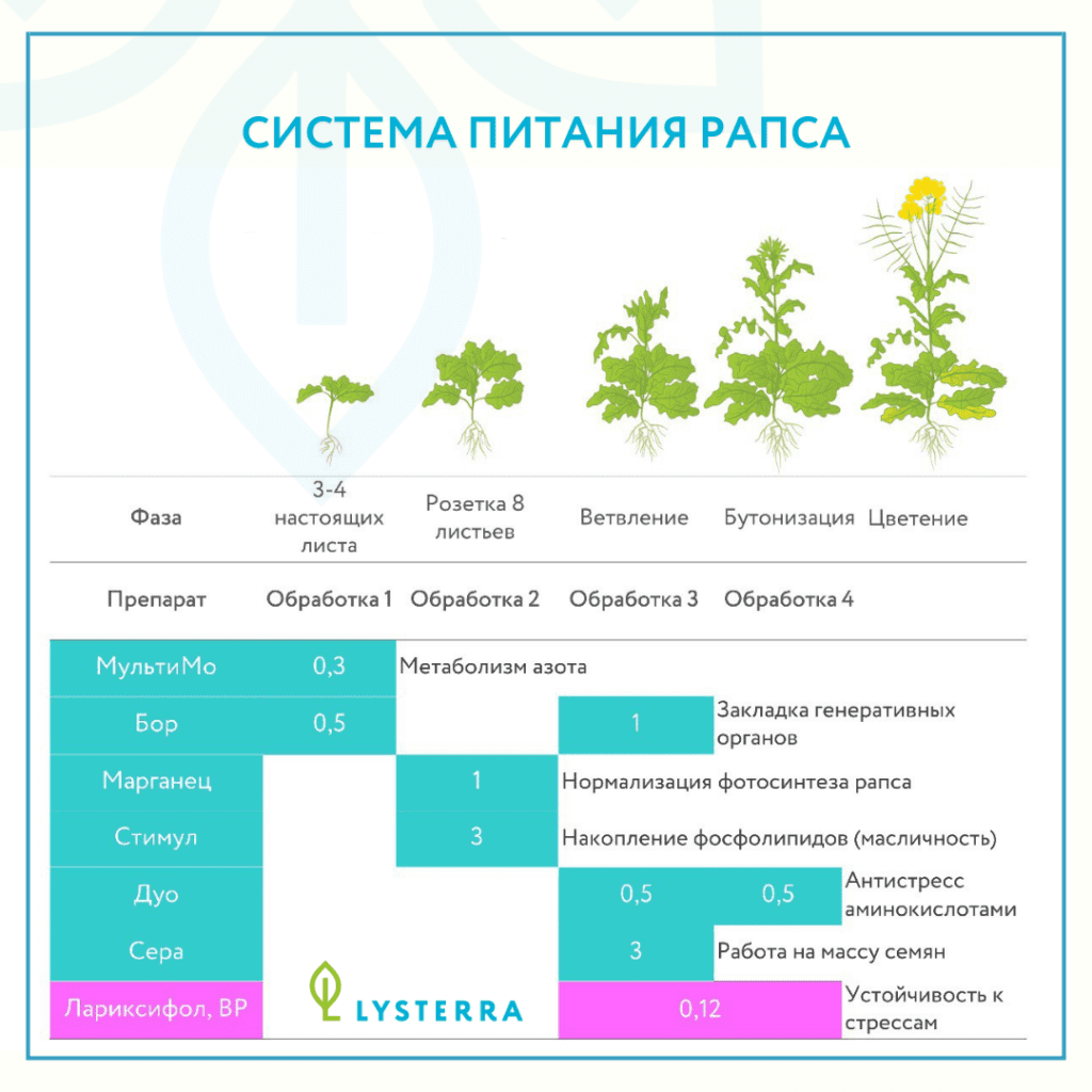 Система питания рапса