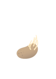 Картофель 3