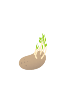Картофель 4