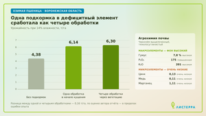 Что показал опыт: иногда одна подкормка работает как четыре