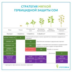 Мягкая гербицидная защита сои: чистое поле без стресса для культуры