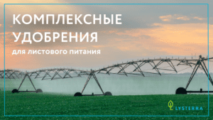Особенности применения комплексных удобрений